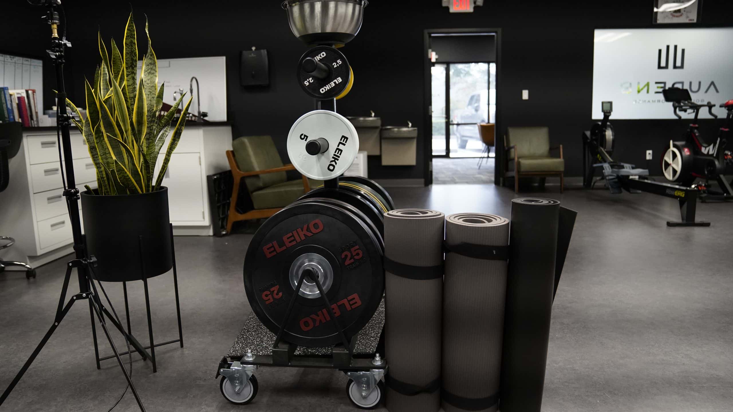 Training and recovery area